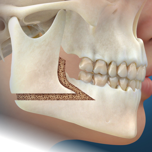 Orthodontic Updates Ebook Library Image