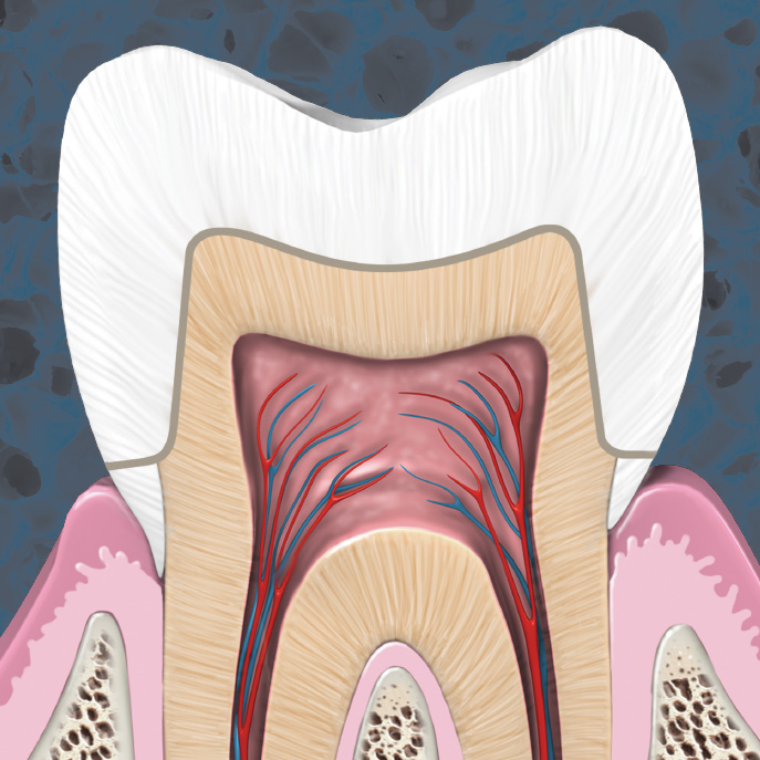 The Management of Common Endodontic Emergencies