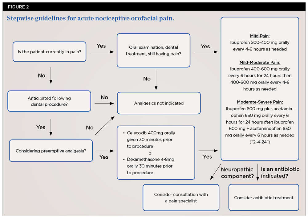 A Targeted Approach For Managing Nociceptive Orofacial Pain - 