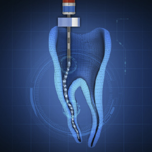 Biologic Approach To Endodontics with 3D Shaping Ebook Library Image