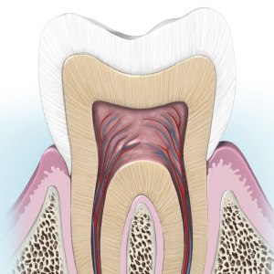 Advances in Endodontics Ebook Library Image