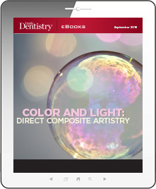 Color and Light: Direct Composite Artistry Ebook Cover