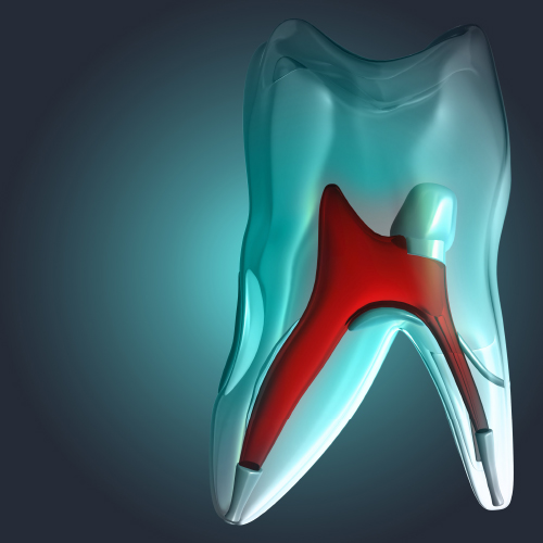 Developments in Endodontics Ebook Library Image