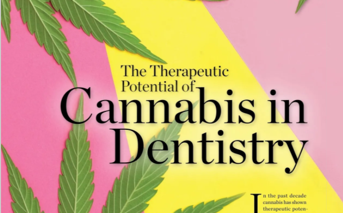 The Therapeutic Potential of Cannabis in Dentistry
