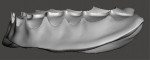 Fig 21. The virtual mandibular denture base that was designed as viewed from the right, frontal, and left views.