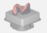 Fig 29. The digital denture base file setup for 3D printing of the maxillary and mandibular dentures.