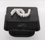 Fig 32. The digital denture bases and teeth portions following printing.
