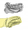 Figure 18  Implant, provisional abutment (periapical view).