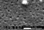 Figure 6  Electron micrographs of the microstructure of porous zirconia.