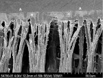 Figure 2  This SEM demonstrates the interface of an etch-and-rinseresin adhesive with the dentin bonded surface.