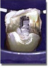 Fig 8. Open-tooth camera image showed the decay.