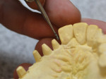 Figure 2  Prepare the existing stone model dentition.