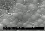 Figure 2  Electron micrographs of the microstructure of a dense zirconia (Fig 2) and porous zirconia (Fig 3).