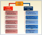 Figure 1. Flowchart depicting leakage investigations and biocompatibility tests done in various in-vitro and in-vivo studies on MTA.