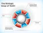 (Figure 1.) The dentition and oral bacteria are engaged in a cyclic reaction of demineralization and remineralization.