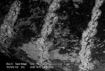 Figure 7  Backscatter SEM image showing three parallel lines of damage root surface, each representing one passage of the diode laser at a different power setting (left to right: 2 W, 1.5 W, 1 W). Note the sharply defined interface between heat damag