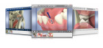 Figure 2 Guru 5 comes with a full library of hundreds of 3D animations covering dental procedures and techniques.