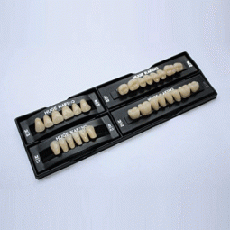 Synthetic Polymer Teeth by Huge Dental Material Co. Ltd.