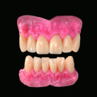 Heraeus Teeth Lines by Kulzer