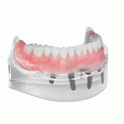 DENTSPLY Denture Solutions by Dentsply Sirona