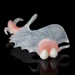 VisiClear™ Partial Dentures by MicroDental