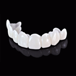 Progressions™ by MicroDental