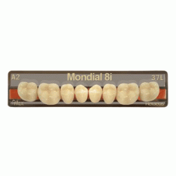 Mondial® 8i-5º Denture Teeth by Kulzer