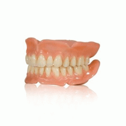 VITA Multifunctional Teeth (MFT) Classical Shades by VITA North America