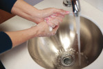 Figure 6 Routine hand washing with use of plain or antimicrobial soap and water includes rubbing hands together for at least 15 seconds. Clinicians should cover all areas of the hands, including fingertips, thumbs, between fingers, and the dorsal surface of hands.