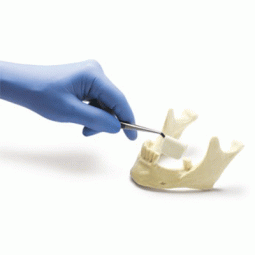 CurV™ Pre-Shaped Collagen Membrane by Zimmer Biomet Dental