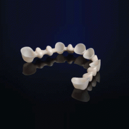 Forte YZr by Oral Arts Dental Laboratories, Inc.