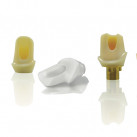 Custom CAD/CAM Implant Abutments by GC Advanced Technologies