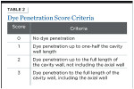 Table 2. Dye Penetration Score Criteria