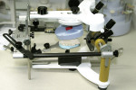 Figure 4  Diagnostic mounting.