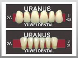 Synthetic Polymer Teeth by Yuwei Dental