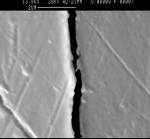 Figure 6  Scanning electron microscope image showing margins of < 2 µm between the gold inlay and the tooth.
