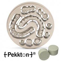 Pekkton® Ivory High Performance Polymer by anaxdent