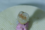 Fig 26. A mixture of Mahogany and Orange stains was used for the occlusal grooves, as well as a small amount of White for the occlusal cusp tips.