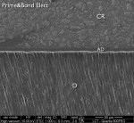 Representative FE-SEM of a resin-dentin interface, showing the low film thickness produced with Prime&Bond Elect Universal Adhesive. CR = composite resin; AD = adhesive layer; D = dentin. Film thickness image: Reis, Andre F. DDS, MS, PhD (2014). Film Thickness FE-SEM Evaluation of the Resin-Dentin Interfaces Produced by Universal Adhesives.