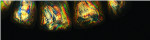 Fig 2. Cross-polarized images of lithium disilicate.