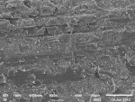 SEM micrographs of the fine-diamond (grit size 30 μm) adjustment surfaces of feldspathic, lithium disilicate, and zirconia (original magnification x500), respectively.