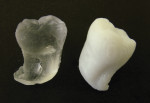 The same micro-CT scan is used to print two model teeth with different materials. The solid white material is related to polycarbonate and the semitransparent material is an acrylate. Both materials have characteristics similar to dental acrylic.