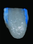 Fig 24. A thin strip of enamel OE4 is layered vertically and TI blue applied adjacent to the layer of OE4.