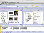 Figure 4  The interface and Web site of Smart FTP, an FTP application for a PC.
