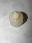 Fig 1. Extracted tooth with flat occlusal dentin surface.