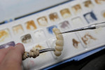 Fig 3. Technicians work on milled restorations.