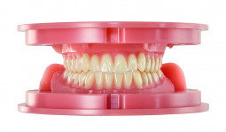 Baltic Denture System by Merz Dental