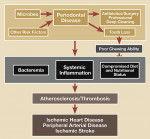 Figure 2  Potential biologic pathways relating oral and atherosclerotic diseases.