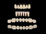 Fig 11. Selecting the maxillary central incisors with the recorded measurements allows the technician to then select the rest of the 1x28 set of denture teeth.