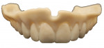 Fig 7. The 3D printed try-in denture.